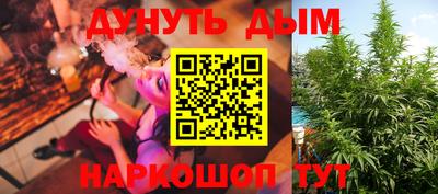 крисы Краснознаменск