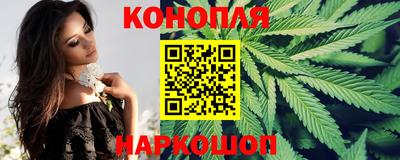 крисы Краснознаменск