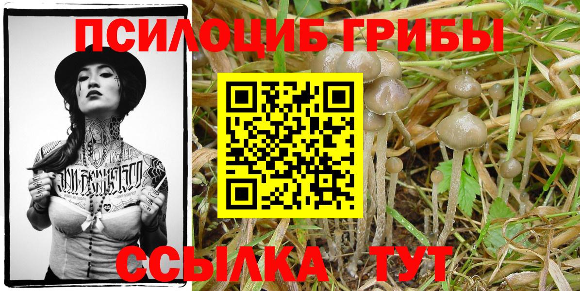 Балашов  Галлюциногенные грибы ЛСД  Галлюциногенные грибы Magic Shrooms  Вход с VPN 